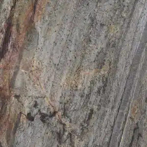 VF0010 (FOREST FIRE)