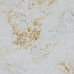 VF0031 (ATLANTIC WHITE)