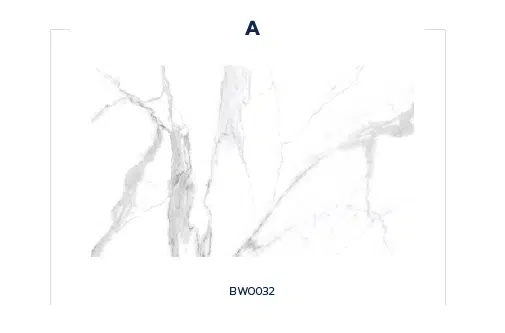 BW0032 (WHITE HOUSE)