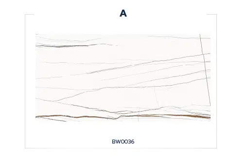 BW0036 (GOLDEN SILK WHITE)