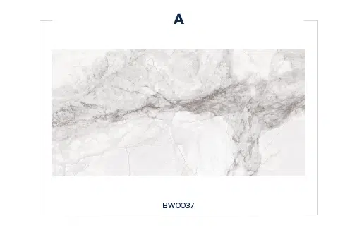 BW0037 (HANJIANG SNOW)