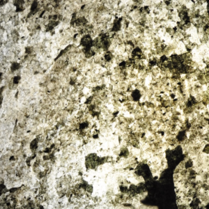 VT0018 (SILVER GRAY)