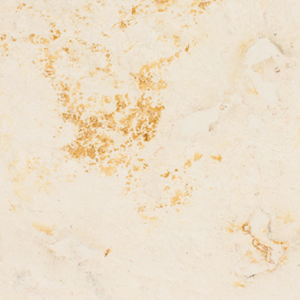 VT0026 (ATLANTIC WHITE)