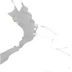 BW00350